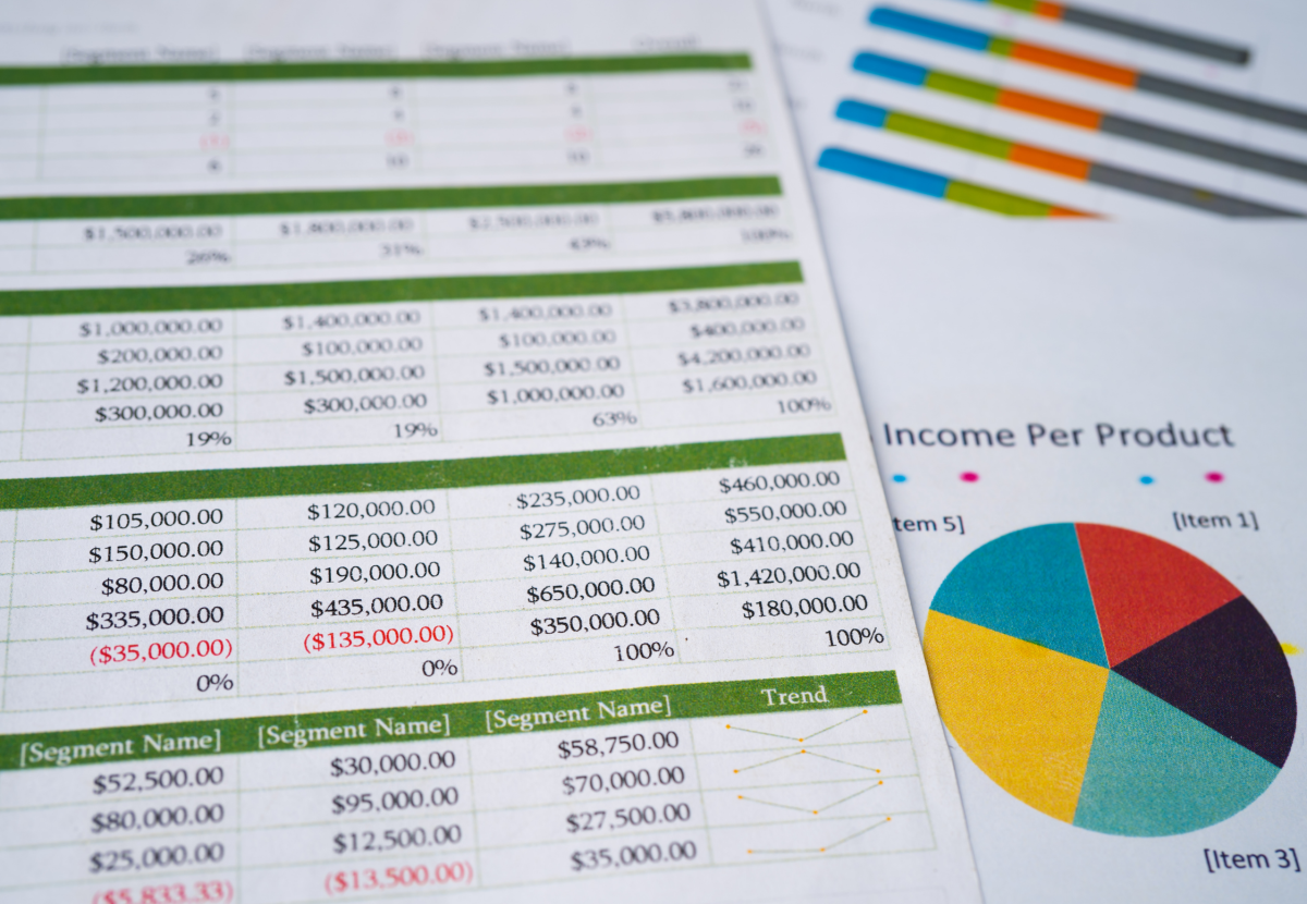 Verslo finansų modeliavimas ir pelningumo analizė